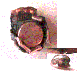 ExpandCombo.gif (7377 bytes)